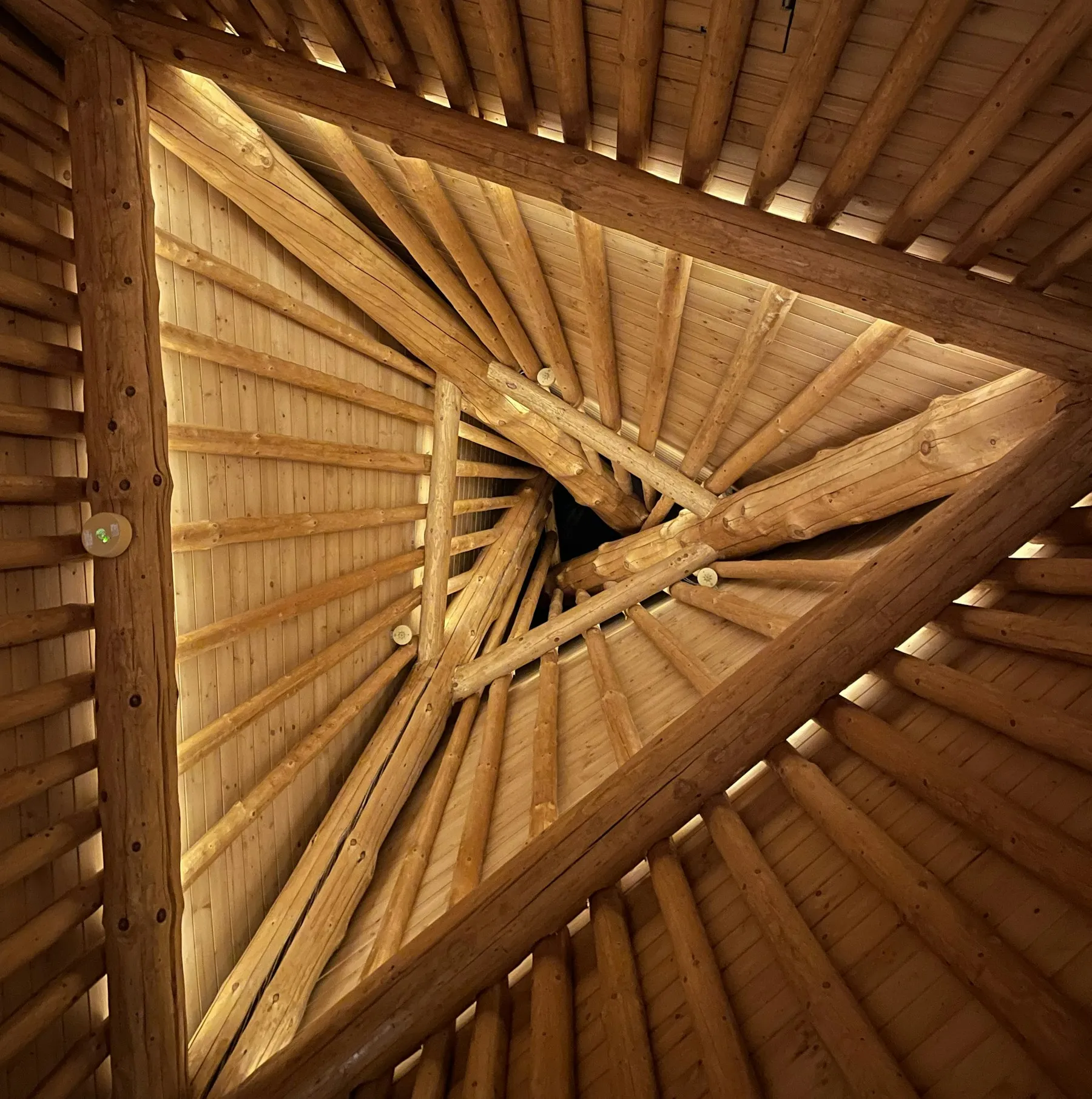 Estructura radial de madera